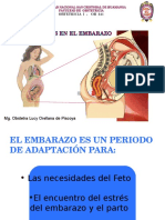 DX de Emabarazo