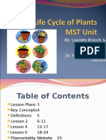 The+Life+Cycle+of+Plants+MST+Unit.ppt
