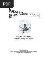 Download Makalah Reproduksi Ikan Hiu by Hilman As Siddiq SN317941037 doc pdf
