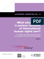 Briefing 6 What Is A Serious Violation of Human Rights Law - Academy Briefing No 6 PDF