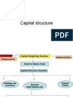 Capital Structure