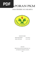 Download Laporan Pkm Efah Irma by Ifah Kisyafah SN317966889 doc pdf