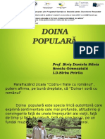 Doina_ppt