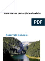 Necesitatea Protecției Animalelor