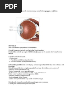 Download katarak DEFINISI by wiedmuet SN31798002 doc pdf