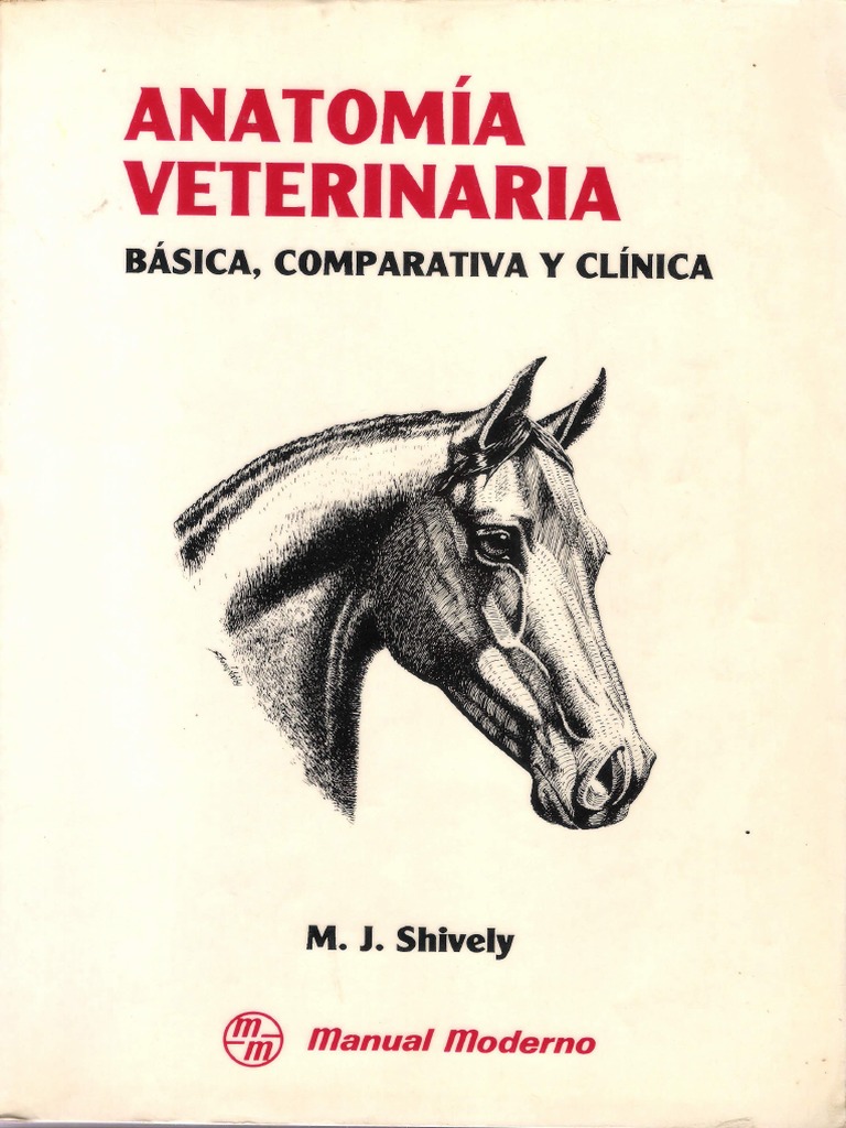 Anatomia Veterinaria Pdf