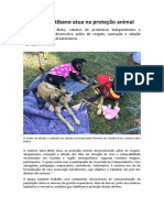 Coletivo Curitibano Atua Na Proteção Animal