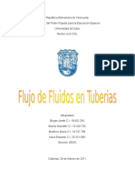 Trabajo Fluido Teoria