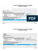 Formato Recopilación SAST 18001