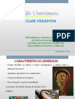 5-Presentación Clase Hexapoda Única 2010 PDF