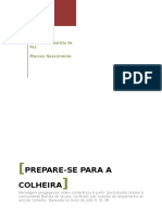 Culto Da Virada - Tema - Prepare-Se para A Colheita - O Ano Da Colheita