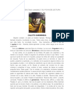 CALIXTO GARMENDIA y Analisis Literario