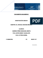 documentos aduaeros.docx