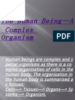 The Human Being-A Complex Organism