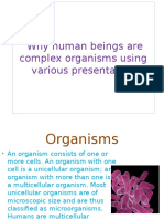 Why Human Beings Are Complex Organisms Using Various Presentation
