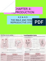 P. Point Science3 CHAPTER 4