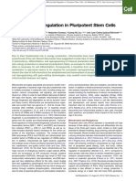 Review: Mitochondrial Regulation in Pluripotent Stem Cells