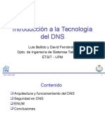 Capacitacion DNS.