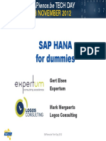 SAP Hana Technical Info PDF