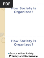 How Society Is Organized