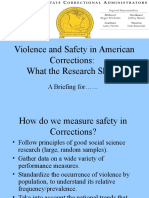 Violence and Safety in American Corrections: What The Research Shows