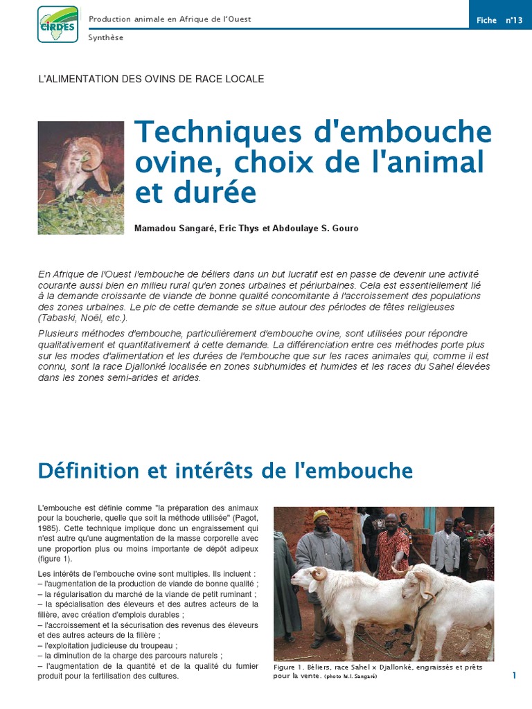 Techniques d'embouche ovine en Afrique | PDF | Mouton | Afrique
