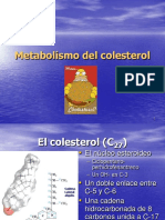 Colesterol 2