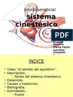 Sistema Cinestesico