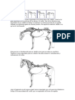 Biomecnicadelcaballo PDF