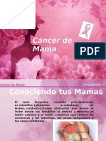 Cancer de Mama