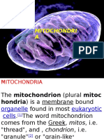 Mitochondria: Mitochondri A