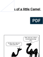 Doubts of A Little Camel