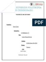 Ensayo PDF