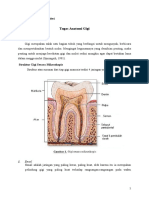 Tugas Anatomi Gigi