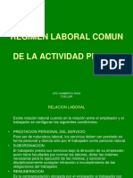 Regimen de La Actividad Privada