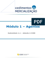 Adesão à CCEE - Requisitos e Processo