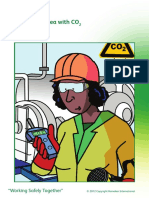 00 Working in area with CO2 - Safety Card A4 Size - English.pdf