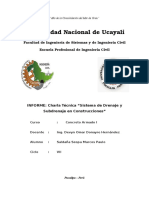 Informe CA