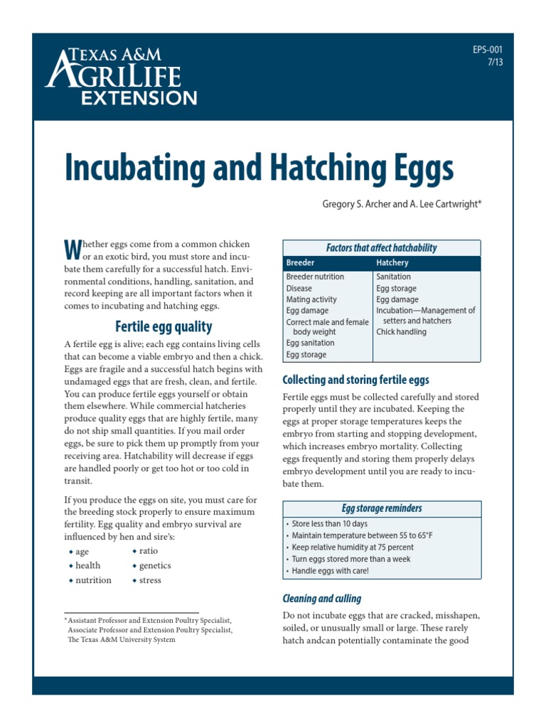 Hatching Egg Cleaner