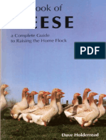 Thebookofgeese 130426023850 Phpapp02