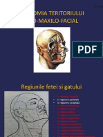 Anatomie Oro Maxilo Facială
