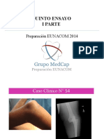 Ensayo 5 Imagenes Primera Parte.pdf