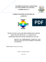 Proyecto de Galletas Tapacari PDF