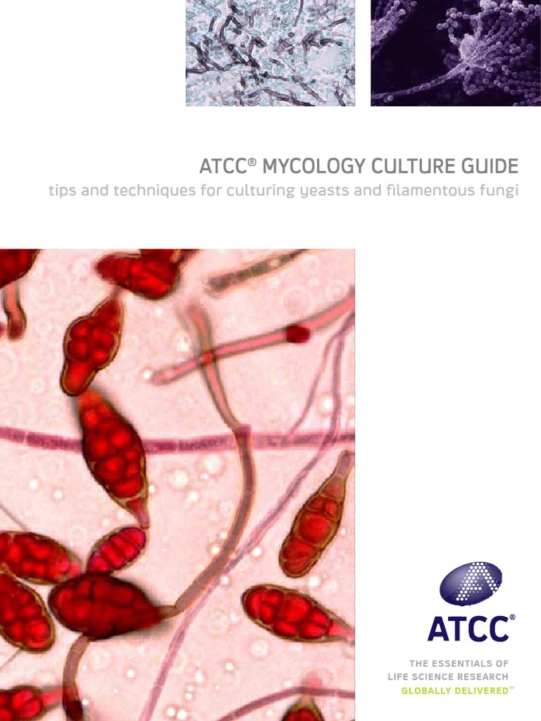 ATCC Mycology Guide | PDF | Growth Medium | Yeast