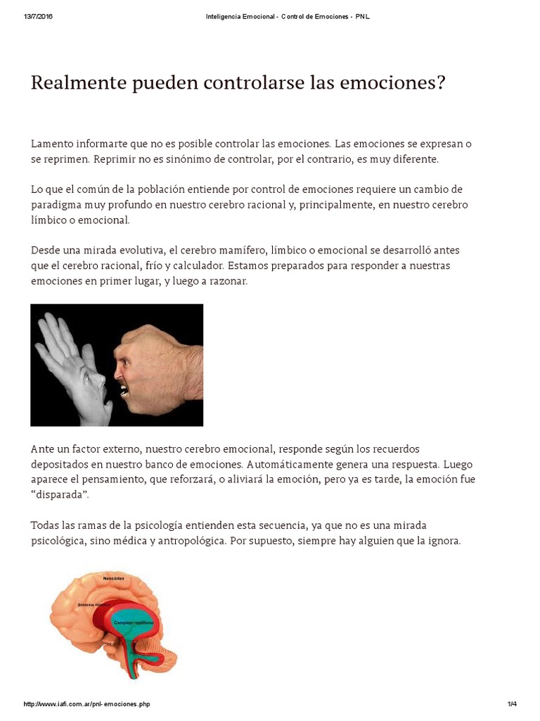 Inteligencia Emocional - Control de Emociones - PNL | PDF ...