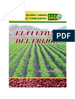 Guia-cultivo-de-frijol-2011.pdf