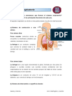 Sistema Respiratorio