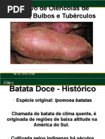 Batata Doce