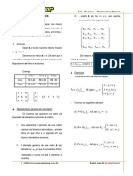 Aula 49 - Matrizes.pdf