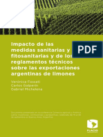 Galperín-Carlos.pdf